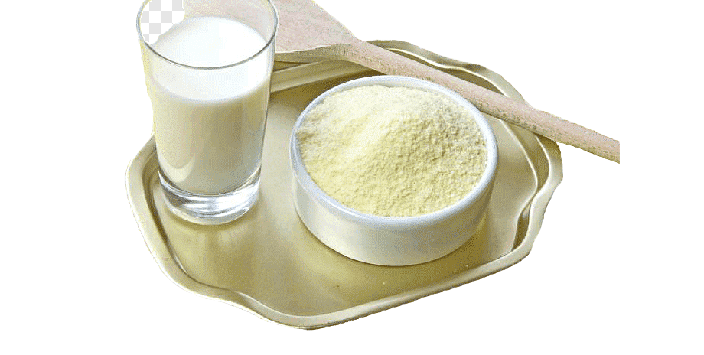 Project-Report-For-Skimmed-Milk-Powder