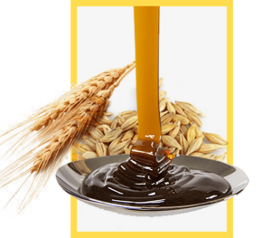Project-Report-For-Malt-Extract-From-Barley