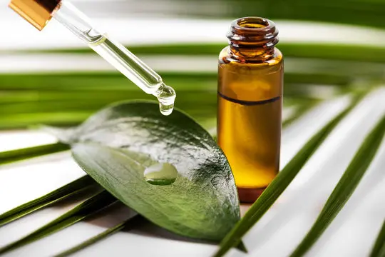 Eucalyptus Oil Extraction Unit