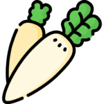radish-farming-icon