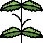Mint-Farming-icon
