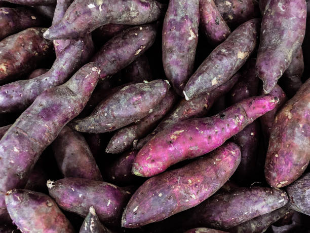 Project-report-for-purple-yam