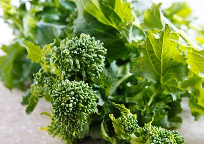 Project-report-for-rapini-farming