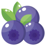 blueberry-icon