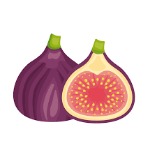 Read more about the article Fig Farming