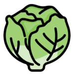 lettuce-icon