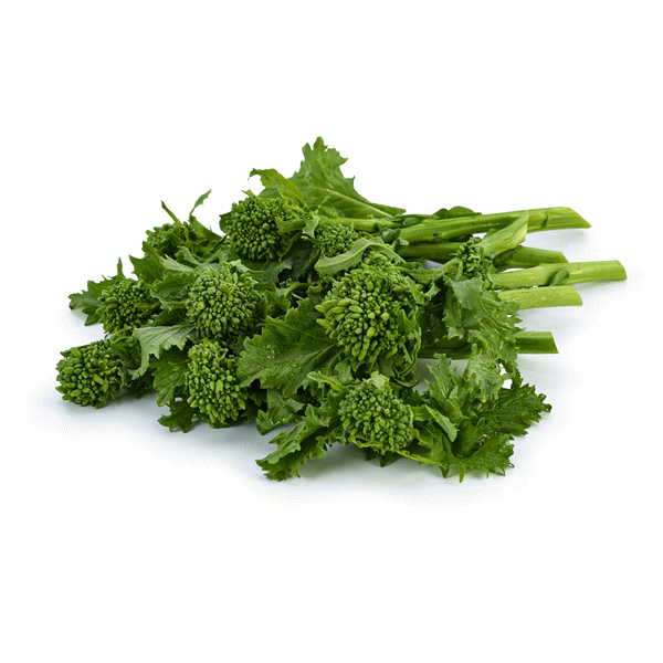 Read more about the article Rapini Farming