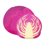 red-cabbage-farming-icon