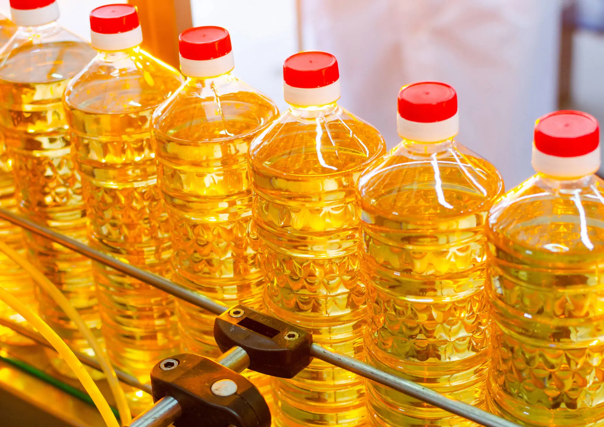 Vegetable Oil (2)