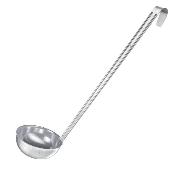 Project Report for Ladle Manufacturing