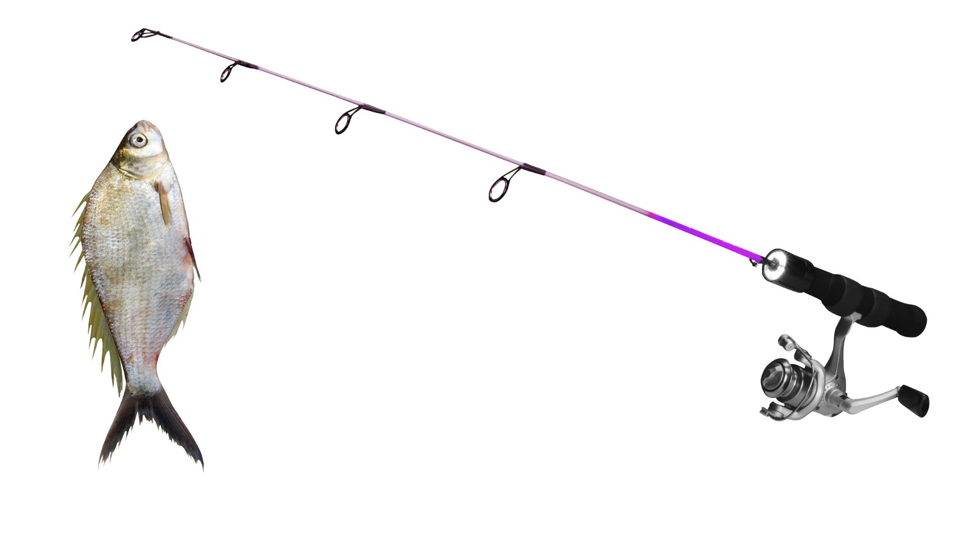 Project Report for Fishing Rod