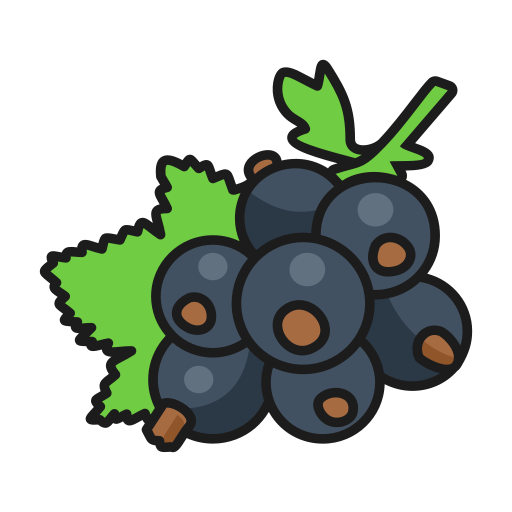 Project-Report-For-Black-Current-Farming