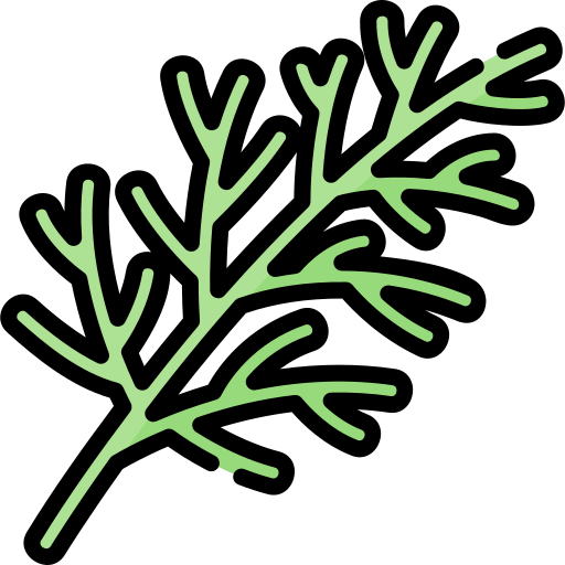 Project-Report-For-Dill-Farming