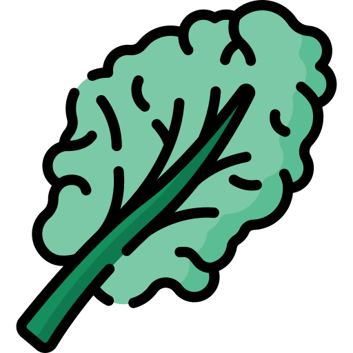 Project-Report-For-Kale-Production