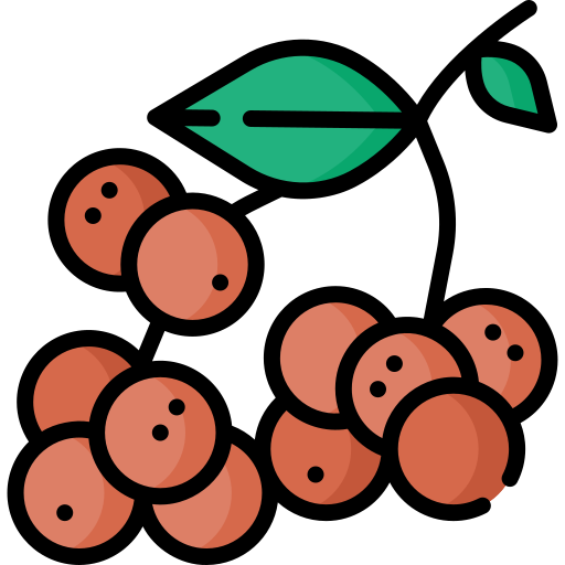 Project-Report-For-Longan-Fruit