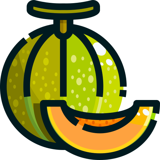 Project-Report-For-muskmelon-Fruit