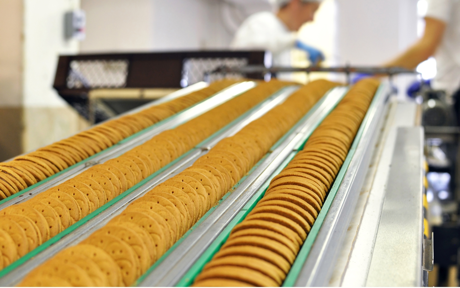 biscuit-factory​