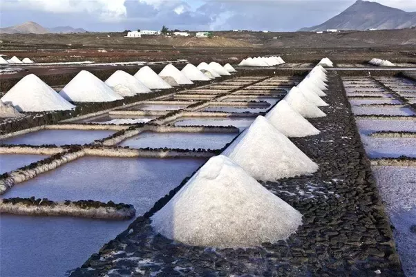 Salt manufacturing