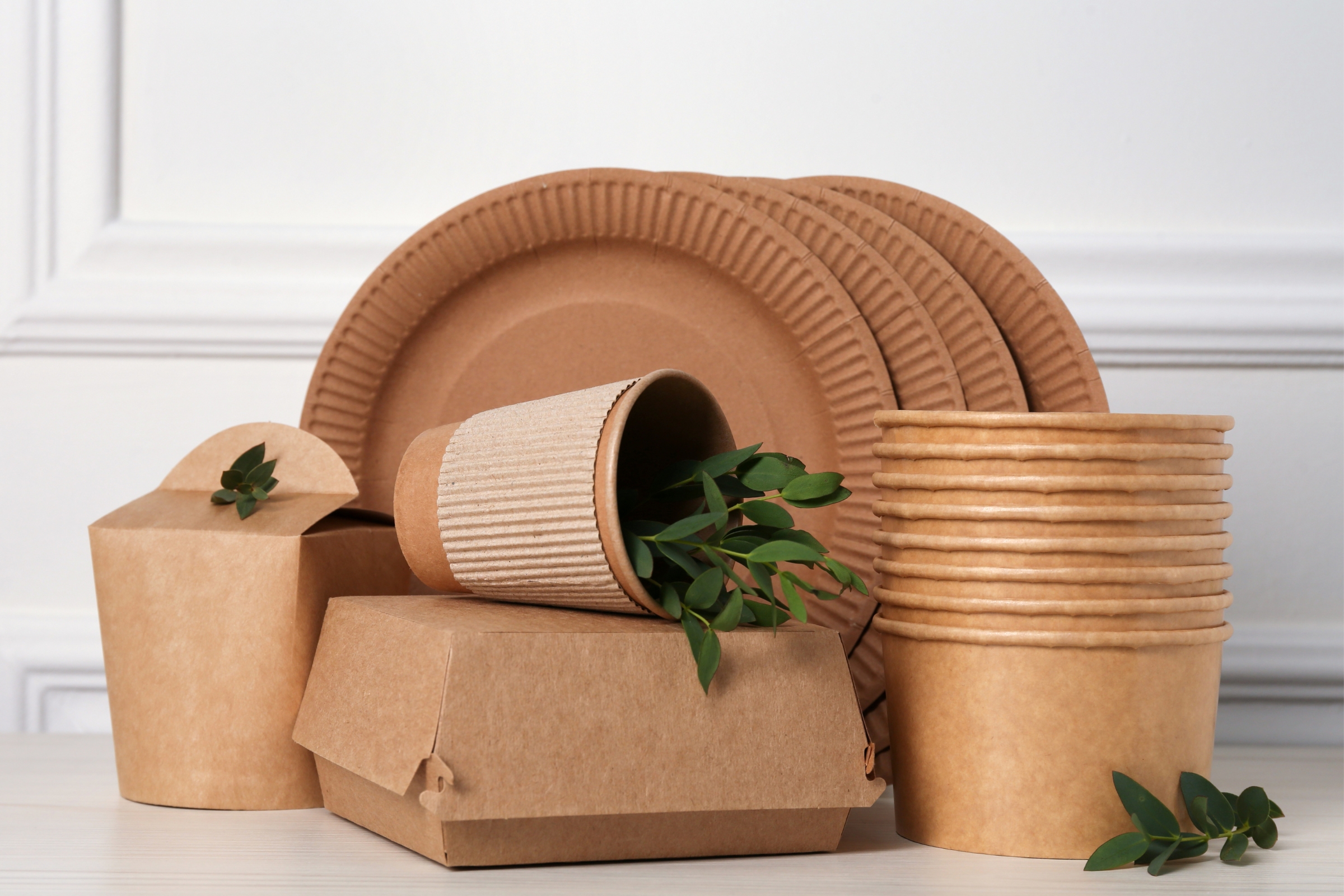 Bagasse-Disposal-Products