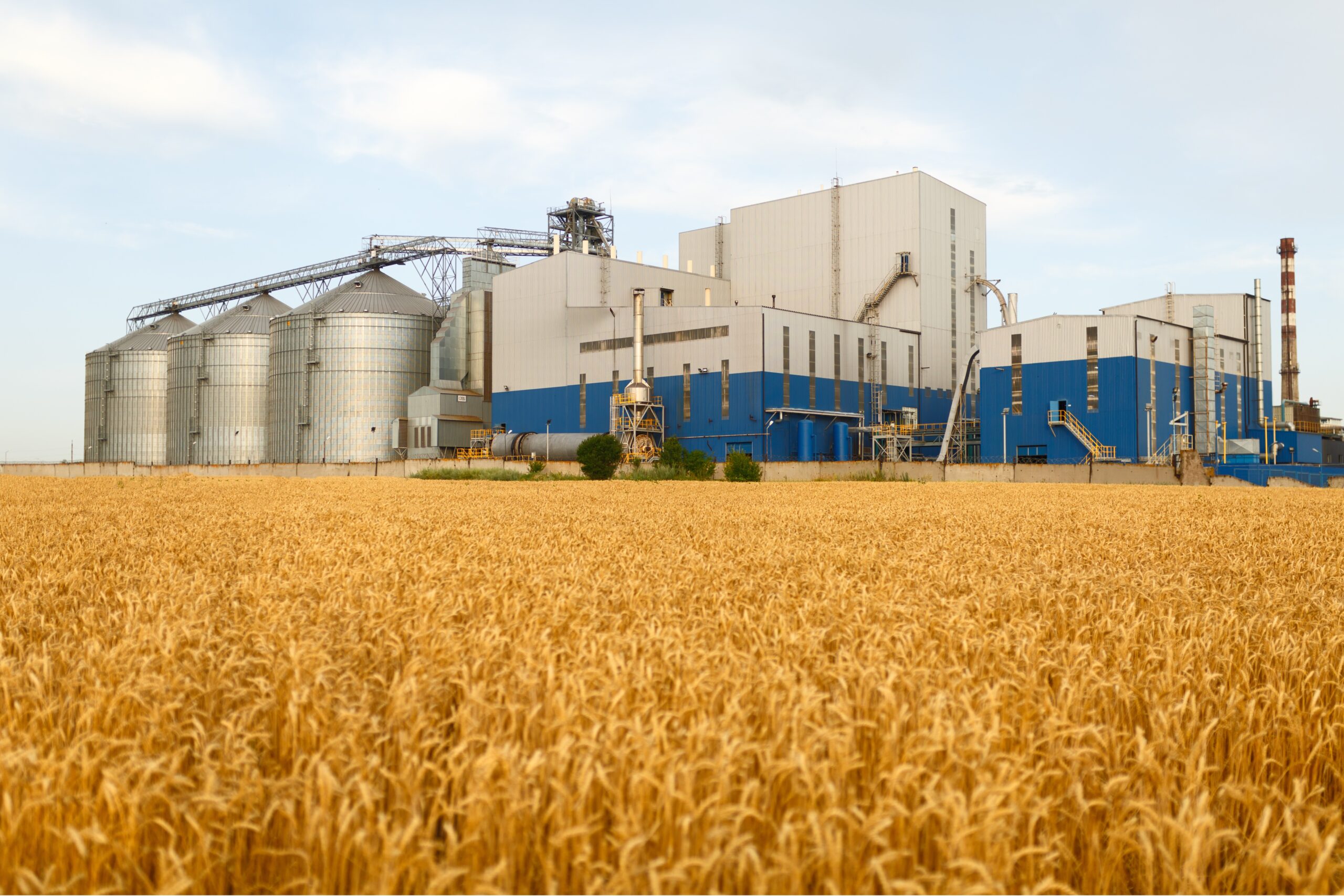 Dal Mill 05