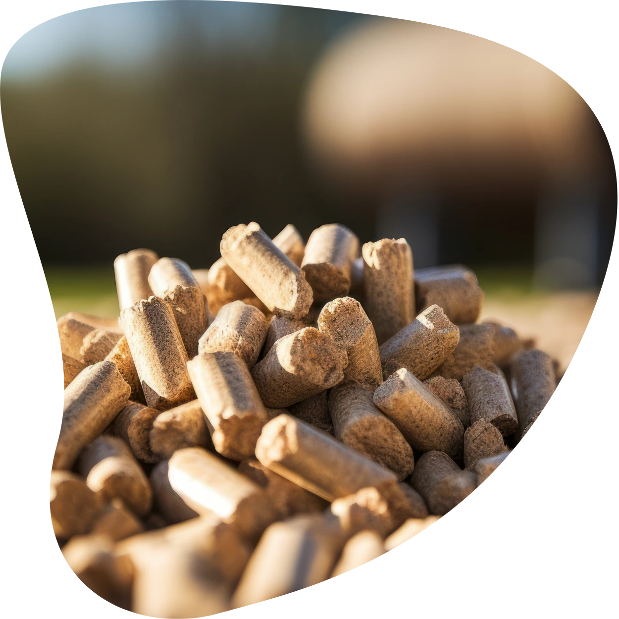 Biomass Pellet