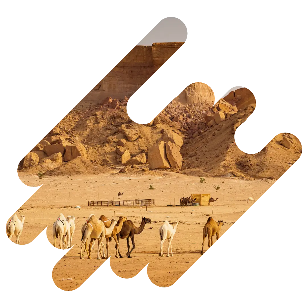 country 5