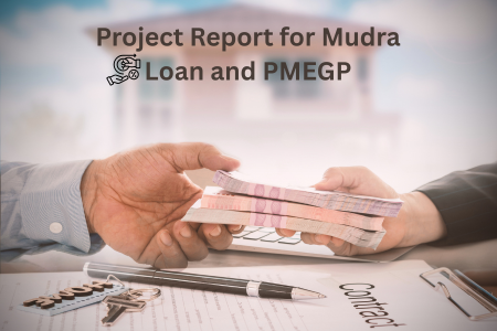 Read more about the article How to Create a Project Report for Mudra Loan and PMEGP