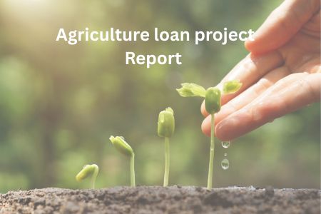 Read more about the article Get the agriculture loan project report in 1 hour