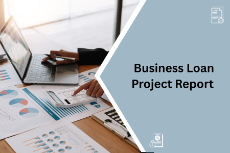 Read more about the article How to Create a Business Loan Project Report?