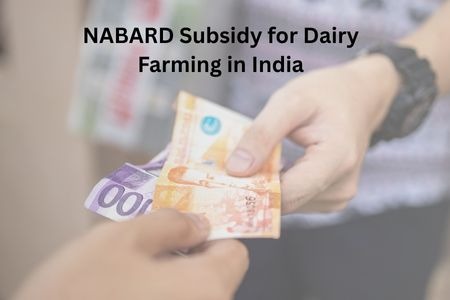 Read more about the article How to Get NABARD Subsidy for Dairy Farming in India (2026 Guide)