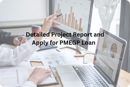 Read more about the article How to Prepare a Detailed Project Report and Apply for PMEGP Loan  