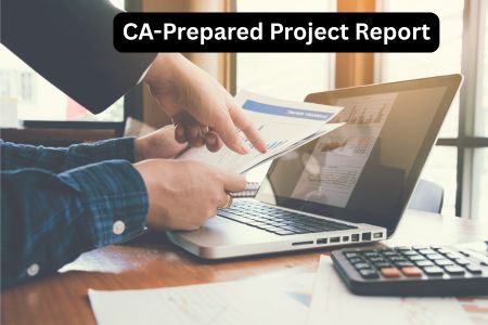 Read more about the article Why Banks Ask for a CA-Prepared Project Report