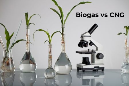 Read more about the article Biogas vs CNG: Comparison, Differences & Benefits