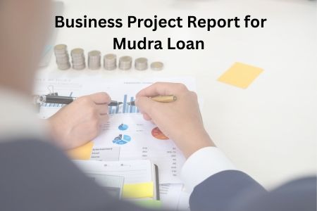 Read more about the article Get a Business Project Report for Mudra Loan in 1 Hour