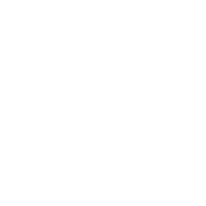 Virtual CFo 11 Customize-Report