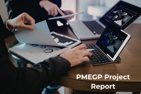 Read more about the article PMEGP Project Report with 100% Acceptance Guarantee – Complete Approval Guide