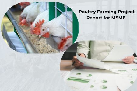 Read more about the article Poultry Farming Project Report for MSME Loan—Complete Guide for Bank Approval (2026)