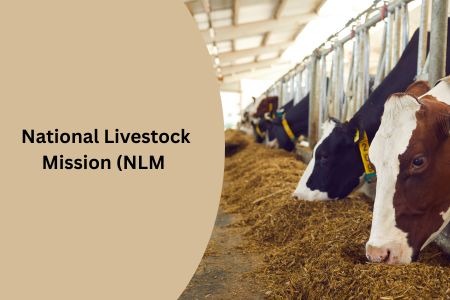 Read more about the article Government Subsidy under National Livestock Mission (NLM)—Complete Easy Guide 2026