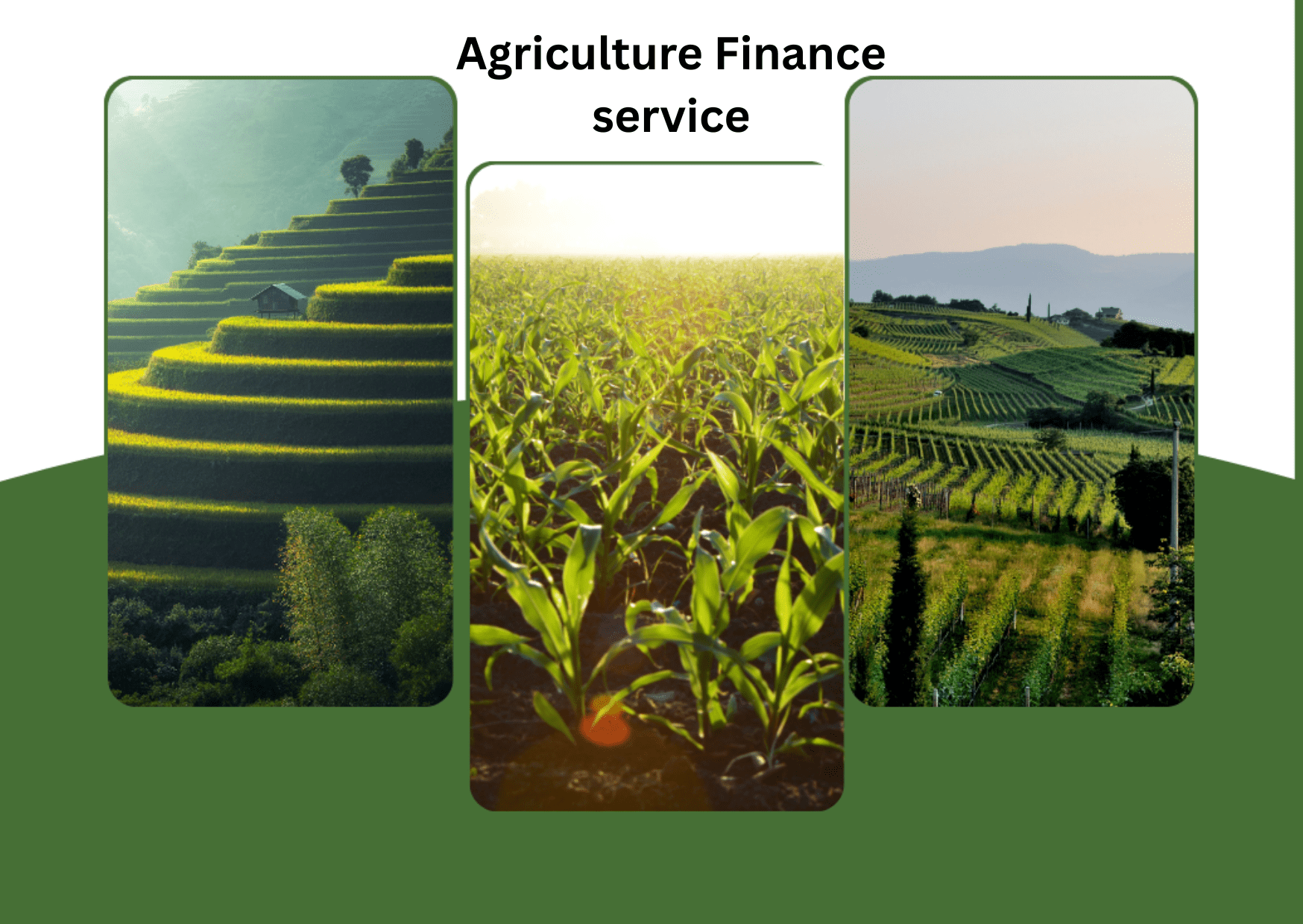 Agriculture Finance service 1