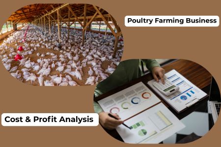 Read more about the article Poultry Farming Business Plan with Cost & Profit Analysis 2026 Guide