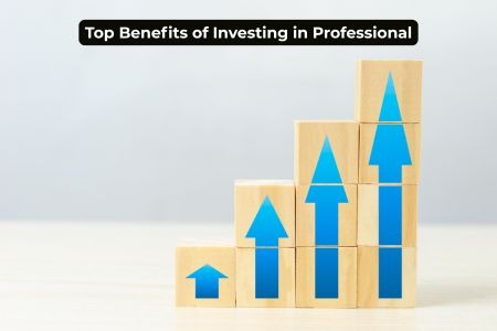 Read more about the article Top Benefits of Investing in Professional Livestock Farming Projects 2026