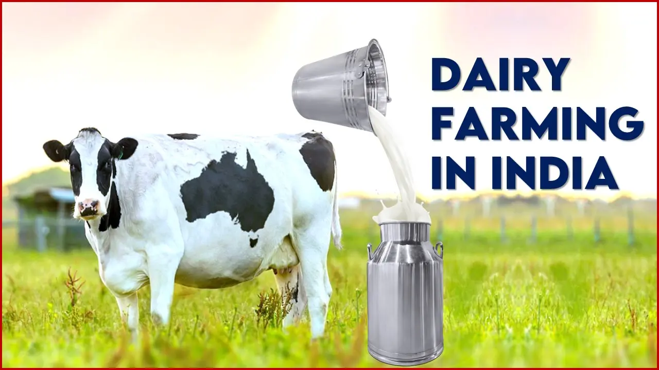 Dairy Farming Business in India — Complete Guide 2026