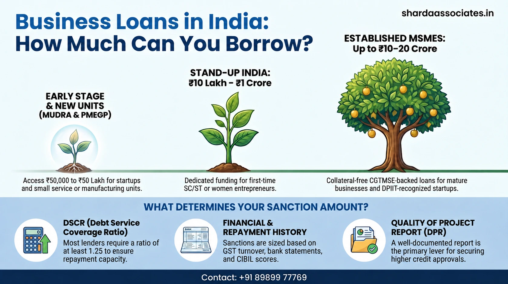 Business Loan Amount