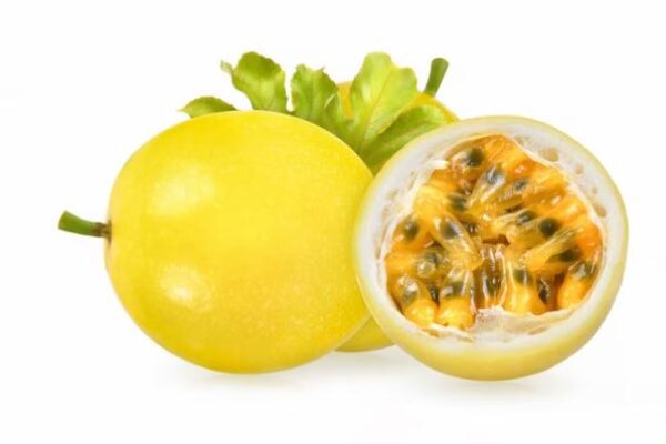 Project-Report-for-Passion-Fruit