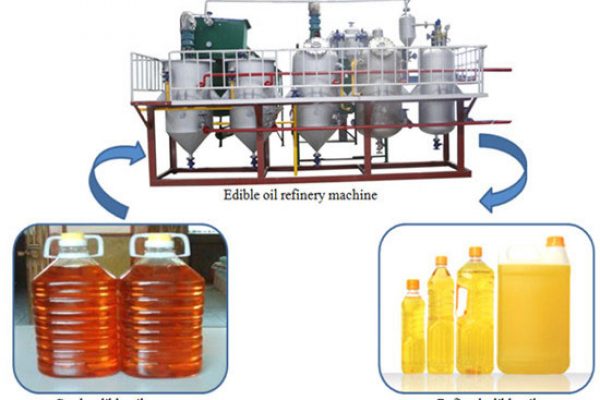 Project Report For Edible Oil Refinery