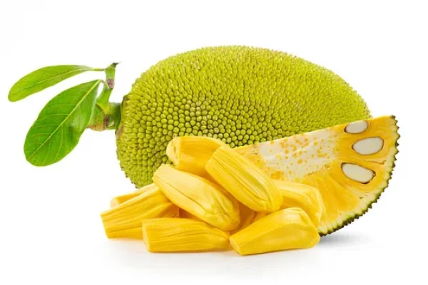 Project Report For Jackfruit Processing