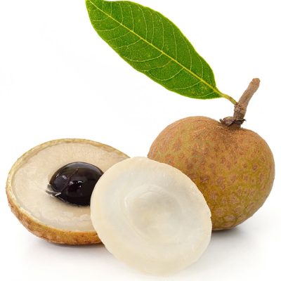 Project Report For Longan Fruit