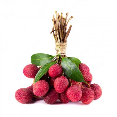 Project-Report-For-Lychee-Farming