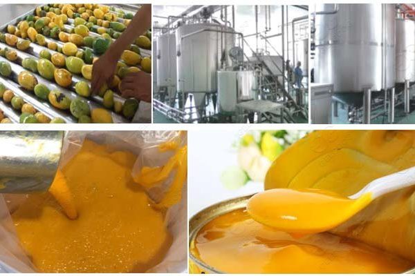 Project Report For Mango Pulp Processing