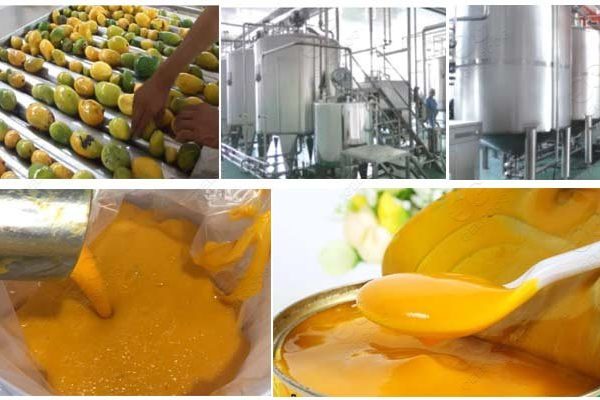 Project Report For Mango PProject Report For Mango Pulp Processing Plantulp Processing